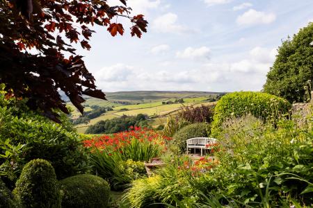Garden & View