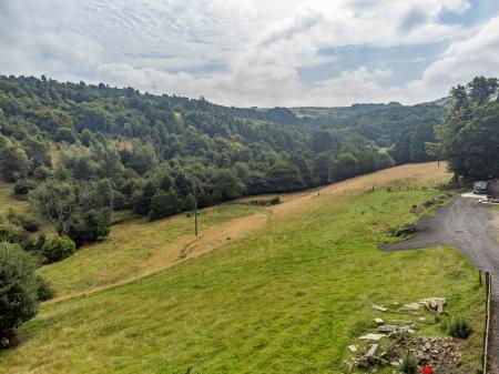 Land & View