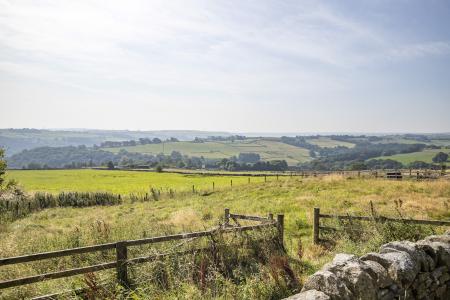 Land & View