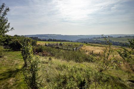 Land & View