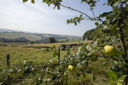 Land & View