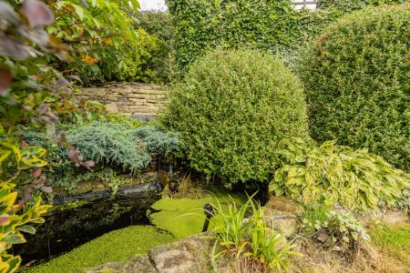Garden Pond