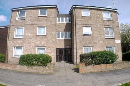 Media image 00