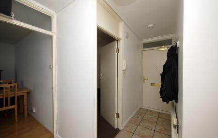 Media image 07