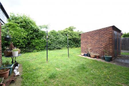 Media image 10