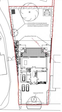 site plan smaller house.jpg