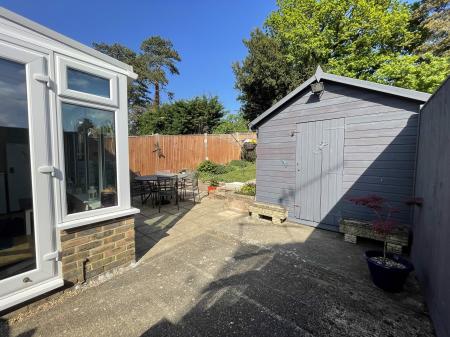 Photo 11