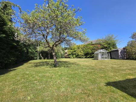 20250430_112823 (1).jpg