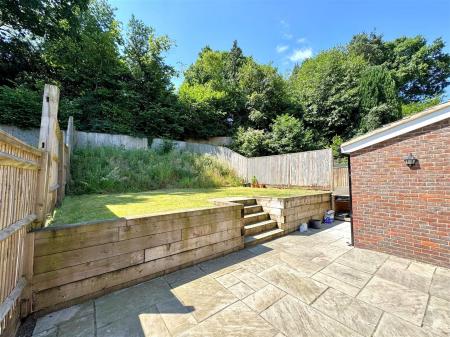 garden 3.jpg