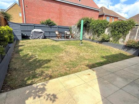 garden 4.jpg