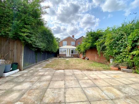 garden 3.jpg