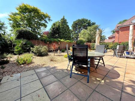 garden 4.jpg