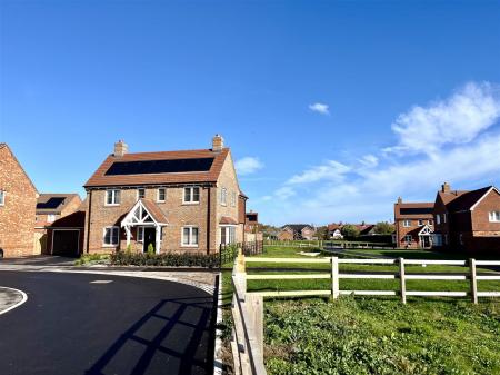 FullSizeRender (13).jpg