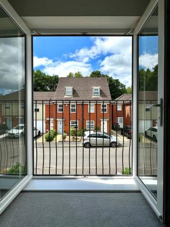 window view.jpg