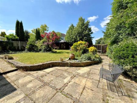 new garden.jpg