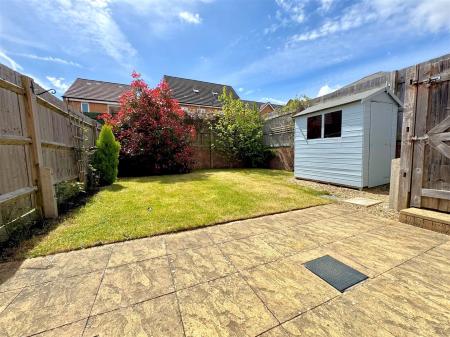 garden 2.jpg