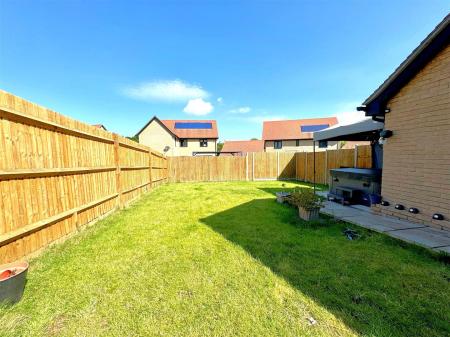 new garden 3.jpg