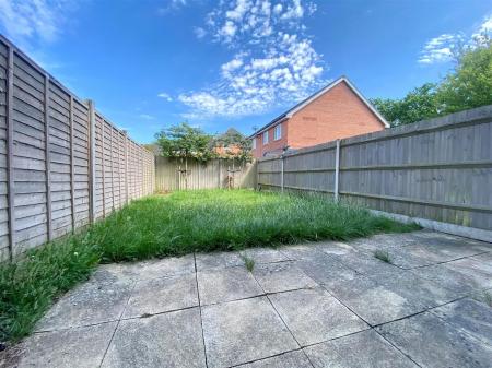 new garden.jpg