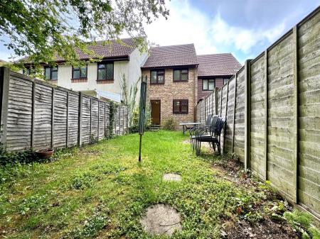 garden 2.jpg