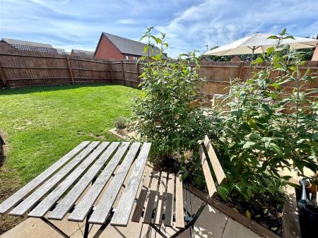 garden 4.jpg