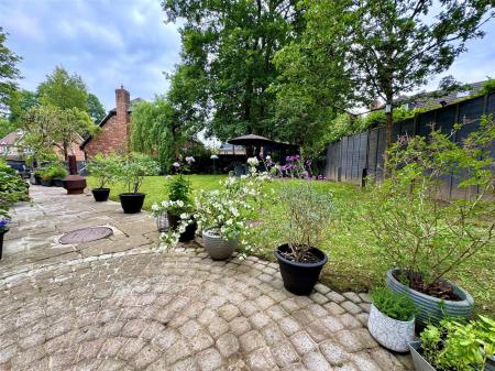 garden 4.jpg