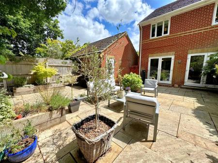 garden 3.jpg