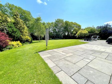 garden 6.jpg