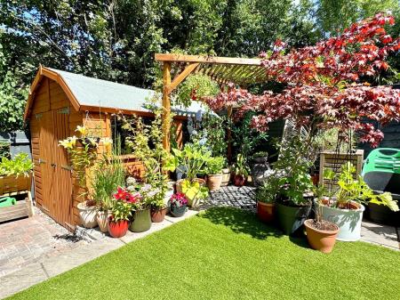 garden 3.jpg