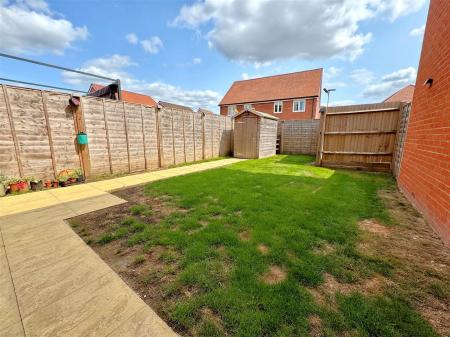 garden 2.jpg