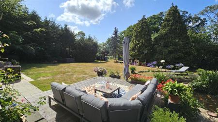 garden 5.jpg