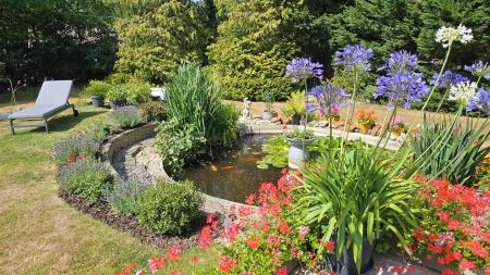 garden 4.jpg