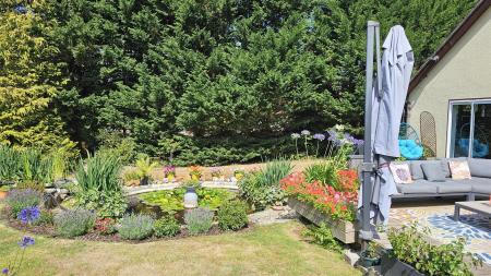 garden 6.jpg
