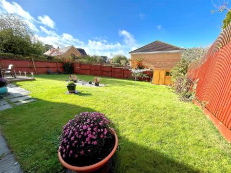 garden 2.jpg