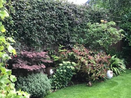 Garden.jpg