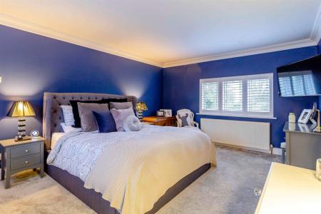 8446379-interior11v2-800.jpg