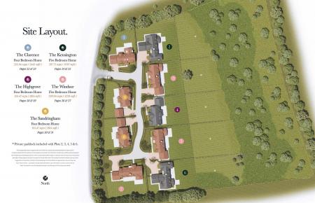 Site Layout.png