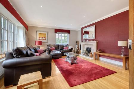 img_0393_21 copy 2.jpg