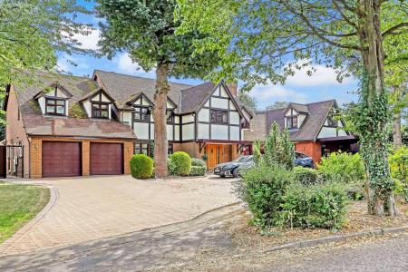 IMG_3394_54 copy 2dp.jpg