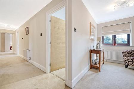 IMG_3233_34 copy.jpg