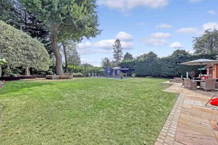 IMG_3320_43 copy.jpg