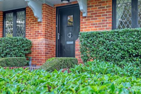 img_0277_40 copy.jpg