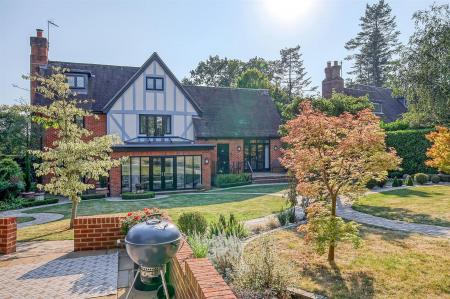 img_0239_35 copy.jpg