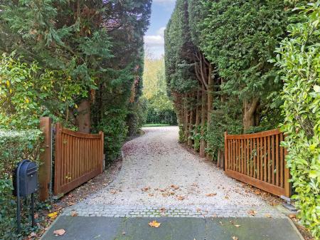 dji_20241031142634_0945_d copy.jpg