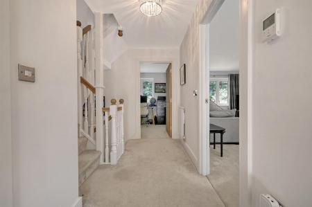 img_8877_10 copy 2.jpg