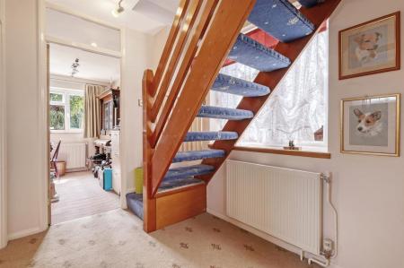 img_9750_25 copy 2.jpg