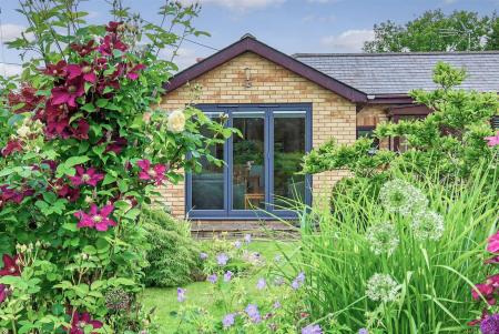 IMG_0137_20 copy.jpg