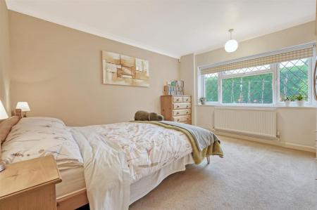 IMG_0008_2 copy 2.jpg