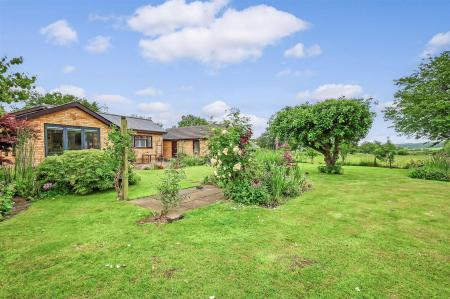 IMG_0127_19 copy.jpg