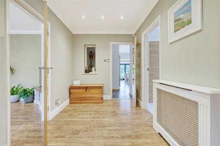 IMG_0037_6 copy 2.jpg