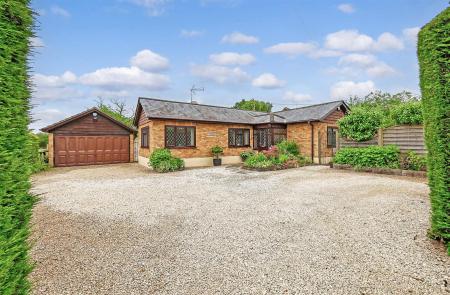 IMG_0151_22 copy.jpg